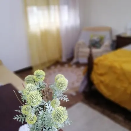 Casa Golfinho